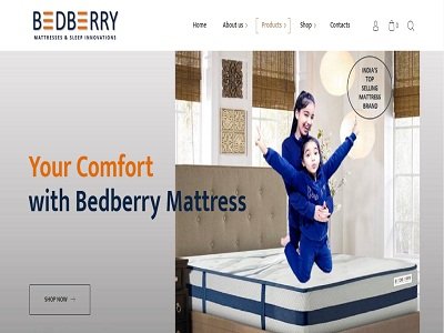 Web Design in Ludhiana